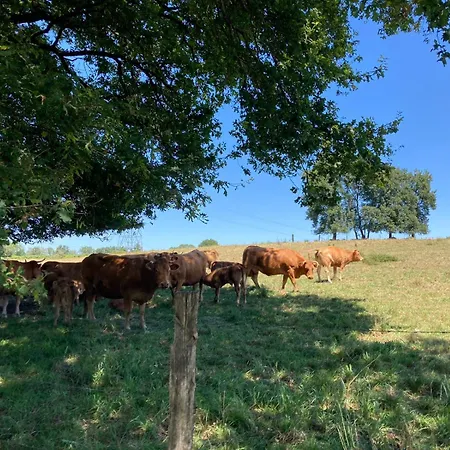 Moulin De Ludieras Ferienhaus