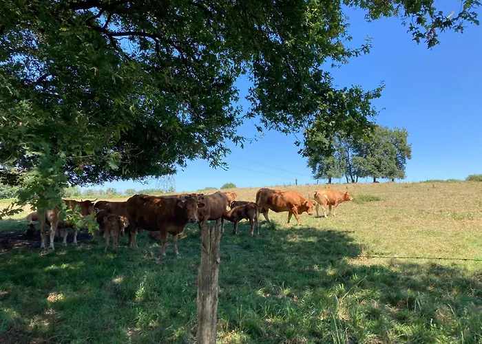 Moulin De Ludieras Feriehus